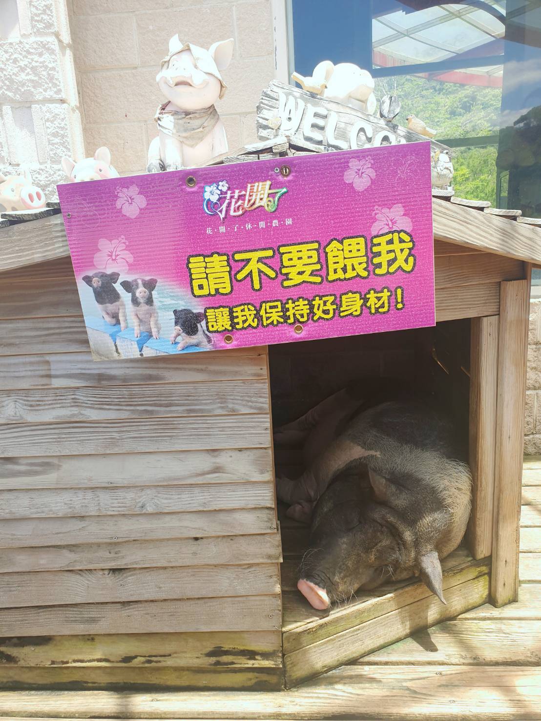 花開了休閒農場 花開了休閒農場