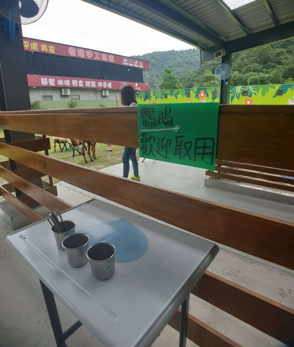 【宜蘭|心花鹿FUN】新景點!宜蘭越來越多農場囉,小朋友最愛的小動物互動,近距離摸摸羊駝、梅花鹿,鸚鵡餵食,還有餵小羊喝ㄋㄟㄋㄟ - 第24張圖