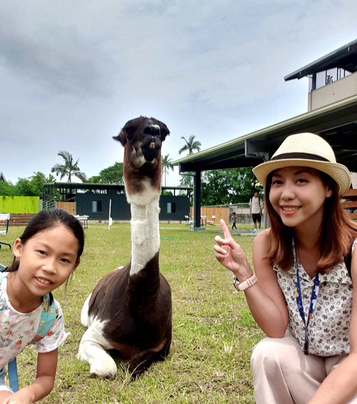 【宜蘭|心花鹿FUN】新景點!宜蘭越來越多農場囉,小朋友最愛的小動物互動,近距離摸摸羊駝、梅花鹿,鸚鵡餵食,還有餵小羊喝ㄋㄟㄋㄟ - 第17張圖