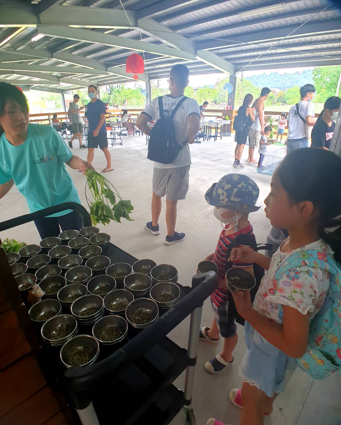 【宜蘭|心花鹿FUN】新景點!宜蘭越來越多農場囉,小朋友最愛的小動物互動,近距離摸摸羊駝、梅花鹿,鸚鵡餵食,還有餵小羊喝ㄋㄟㄋㄟ - 第10張圖
