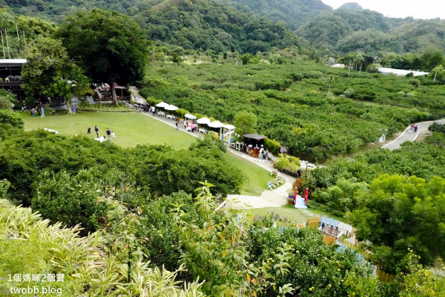 【苗栗景點| 橙香森林-心曠神怡的大草皮,每個景點都好拍,進入橙香隧道,來場滿是橙子的下午茶會吧。 - 第8張圖