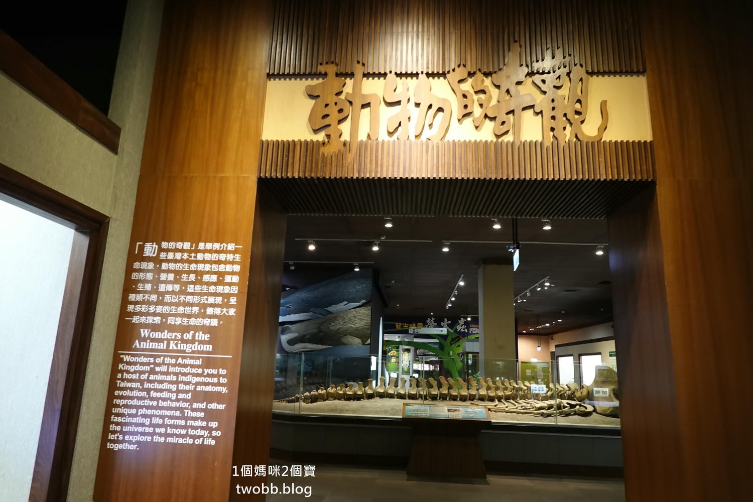 【南投景點| 特有生物研究保育中心-台灣特有的生物無論動植物知識這邊都有,好大的鯨魚標本,另外還有蝴蝶館哦。 - 第27張圖