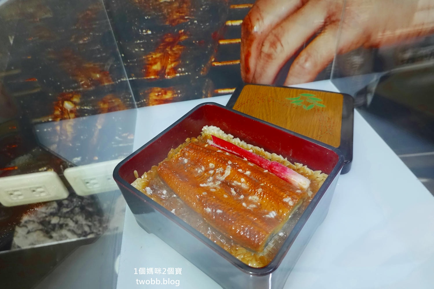 【南投景點| 特有生物研究保育中心-台灣特有的生物無論動植物知識這邊都有,好大的鯨魚標本,另外還有蝴蝶館哦。 - 第41張圖