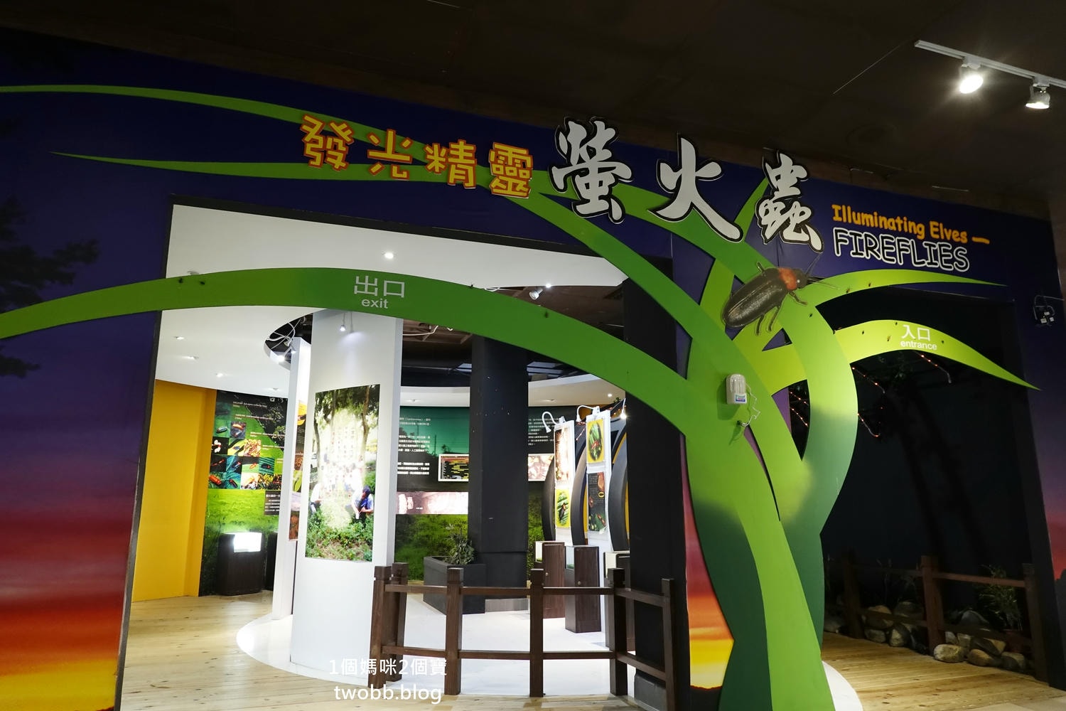 【南投景點| 特有生物研究保育中心-台灣特有的生物無論動植物知識這邊都有,好大的鯨魚標本,另外還有蝴蝶館哦。 - 第56張圖