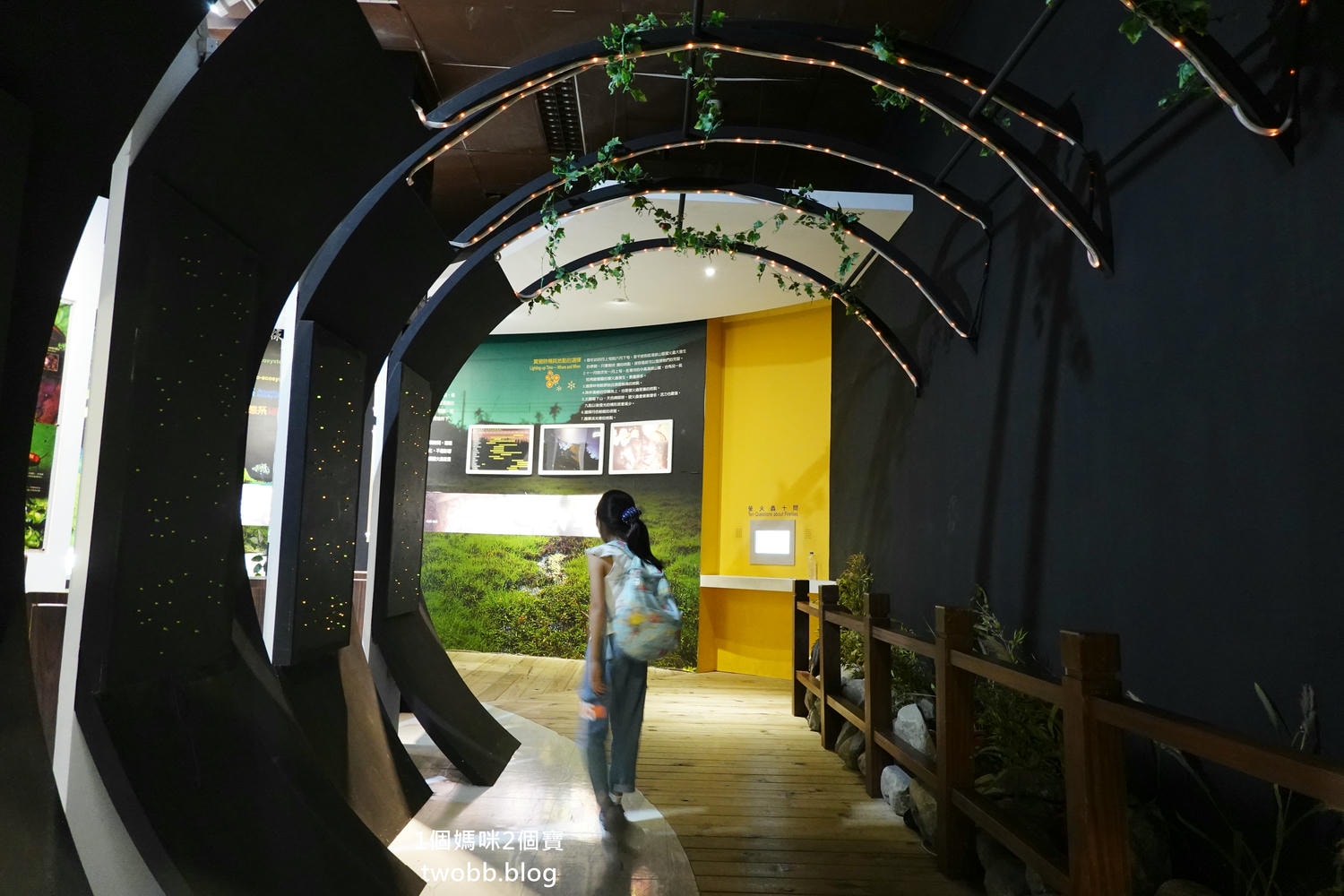 【南投景點| 特有生物研究保育中心-台灣特有的生物無論動植物知識這邊都有,好大的鯨魚標本,另外還有蝴蝶館哦。 - 第57張圖