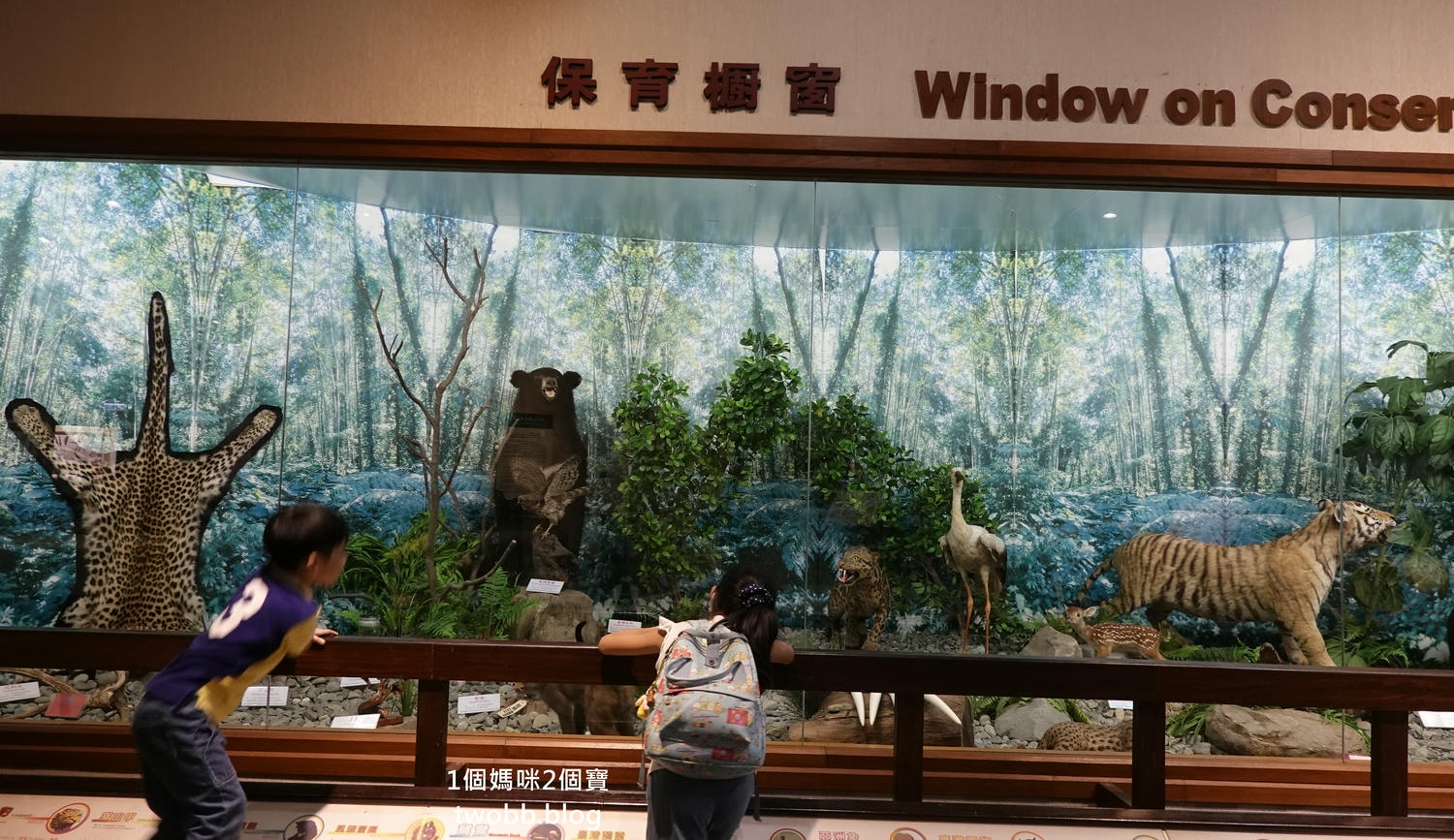 【南投景點| 特有生物研究保育中心-台灣特有的生物無論動植物知識這邊都有,好大的鯨魚標本,另外還有蝴蝶館哦。 - 第25張圖