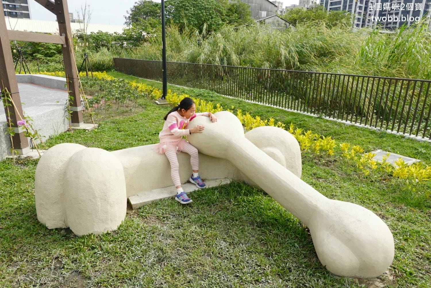 【新北景點| 鶯歌-逗逗龍公園,恐龍主題公園,巨大三角龍化石地景及玩水裝置。 - 第4張圖