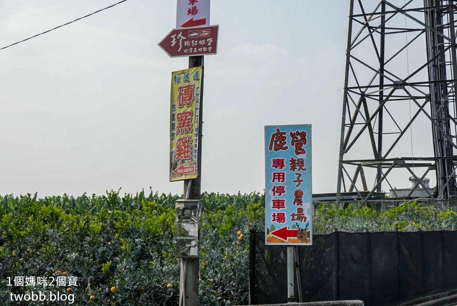 古坑鹿營農場-76