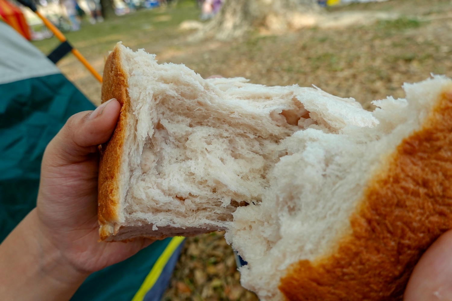 【台南景點| 奇美食品幸福工廠-有趣的親子diy餐點體驗,小朋友最愛館內互動設施,了解食品製程、品牌故事,每日限量提供免費包子,有吃有玩超級充實。 - 第40張圖