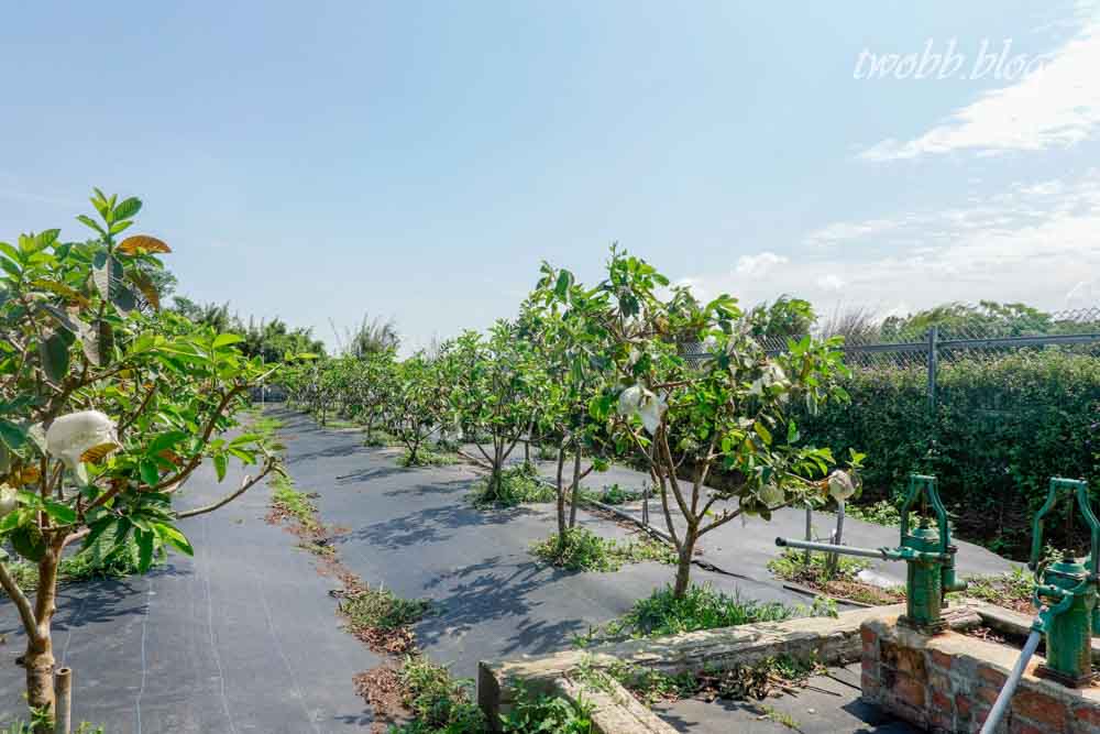 【桃園景點】藍迪兒童之家開心農場-藍迪開心農場半日遊,一座結合社會資源及各方用愛灌溉的農場,讓一群有特殊故事的孩子們有擁有完整的愛。 - 第45張圖