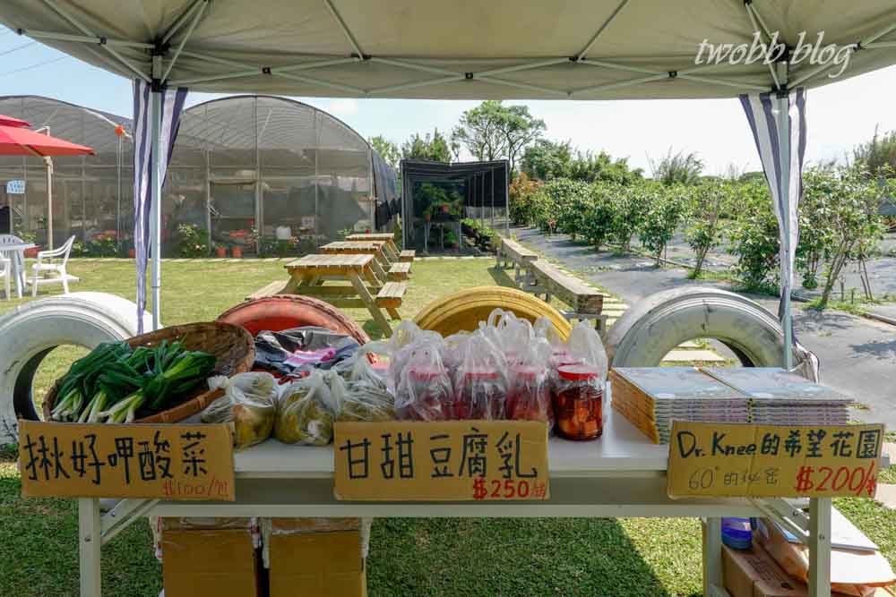 【桃園景點】藍迪兒童之家開心農場-藍迪開心農場半日遊,一座結合社會資源及各方用愛灌溉的農場,讓一群有特殊故事的孩子們有擁有完整的愛。 - 第41張圖