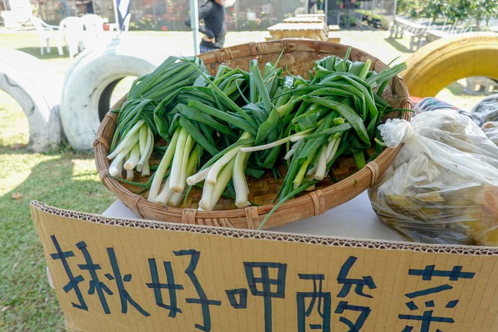 【桃園景點】藍迪兒童之家開心農場-藍迪開心農場半日遊,一座結合社會資源及各方用愛灌溉的農場,讓一群有特殊故事的孩子們有擁有完整的愛。 - 第42張圖