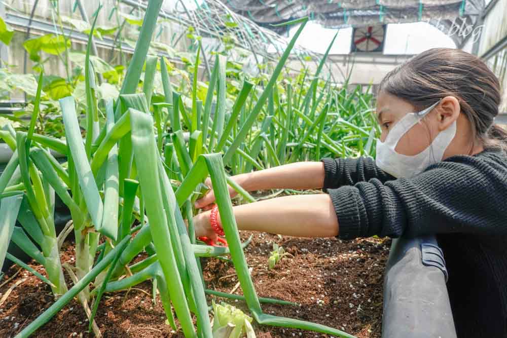 【桃園景點】藍迪兒童之家開心農場-藍迪開心農場半日遊,一座結合社會資源及各方用愛灌溉的農場,讓一群有特殊故事的孩子們有擁有完整的愛。 - 第34張圖