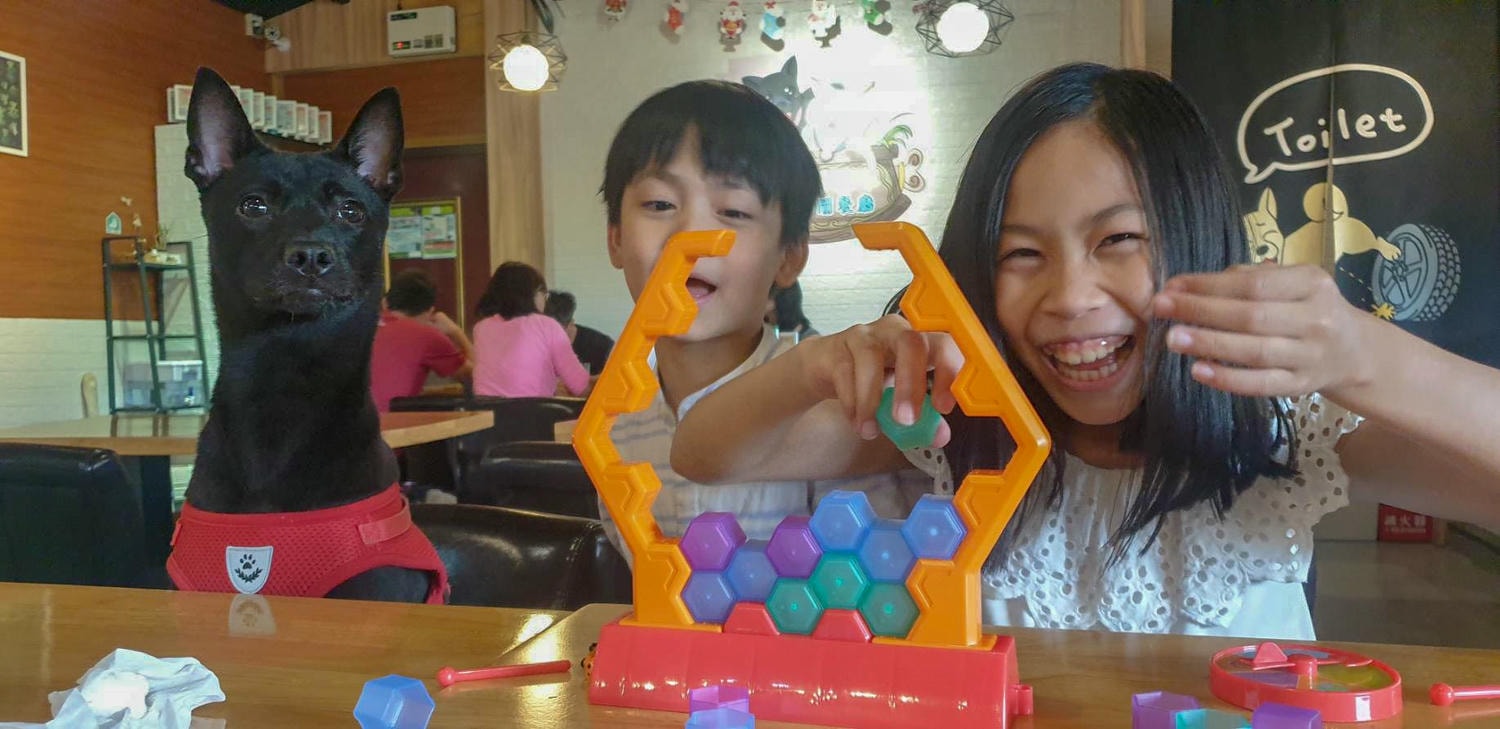 【新北景點| 小黑小白寵物休閒餐廳-寵物友善餐廳,擁有大草皮狗狗盡情奔跑,提供好吃的餐點,奴才與狗狗一起填飽肚肚。 - 第47張圖
