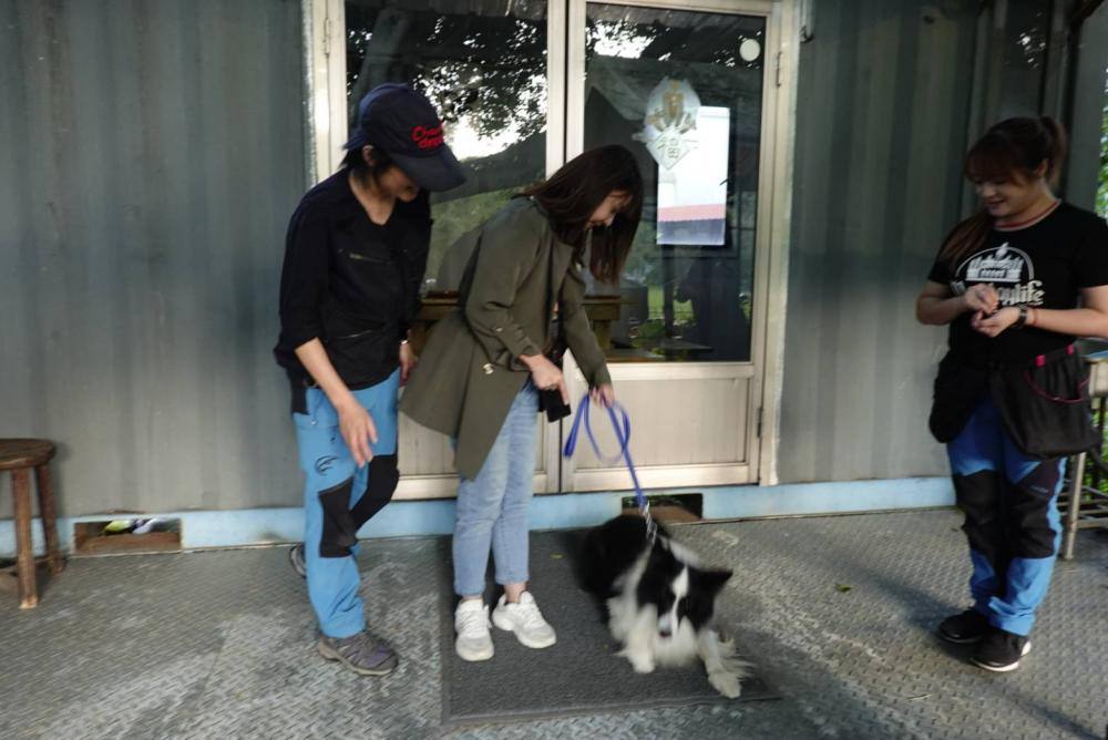 【親子體驗活動| 三峽鐶銶警犬學校-來體驗訓練警犬及搜救犬的過程,成為一個小小訓練師。 - 第30張圖