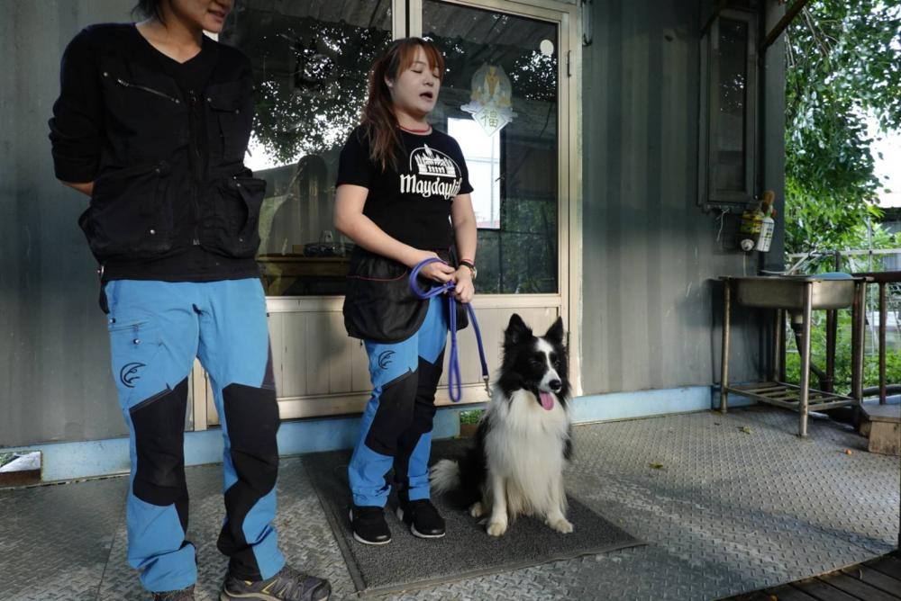 【親子體驗活動| 三峽鐶銶警犬學校-來體驗訓練警犬及搜救犬的過程,成為一個小小訓練師。 - 第28張圖