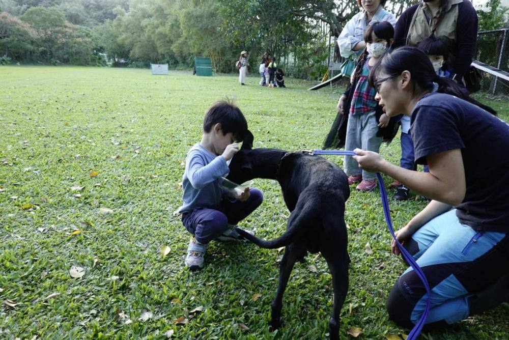 【親子體驗活動| 三峽鐶銶警犬學校-來體驗訓練警犬及搜救犬的過程,成為一個小小訓練師。 - 第26張圖