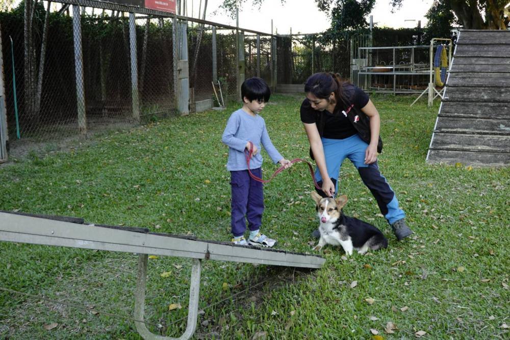 【親子體驗活動| 三峽鐶銶警犬學校-來體驗訓練警犬及搜救犬的過程,成為一個小小訓練師。 - 第23張圖