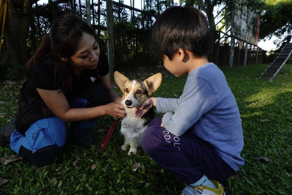 【親子體驗活動| 三峽鐶銶警犬學校-來體驗訓練警犬及搜救犬的過程,成為一個小小訓練師。 - 第22張圖