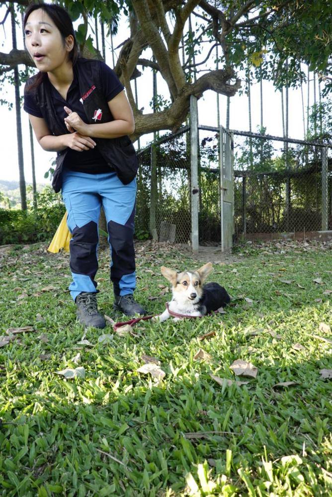 【親子體驗活動| 三峽鐶銶警犬學校-來體驗訓練警犬及搜救犬的過程,成為一個小小訓練師。 - 第21張圖
