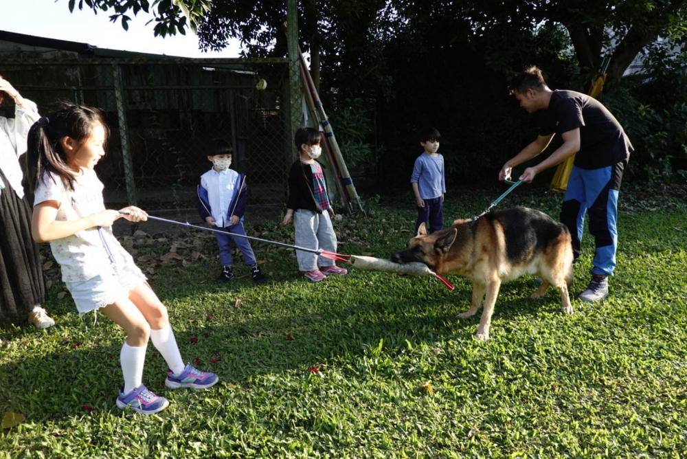 【親子體驗活動| 三峽鐶銶警犬學校-來體驗訓練警犬及搜救犬的過程,成為一個小小訓練師。 - 第19張圖