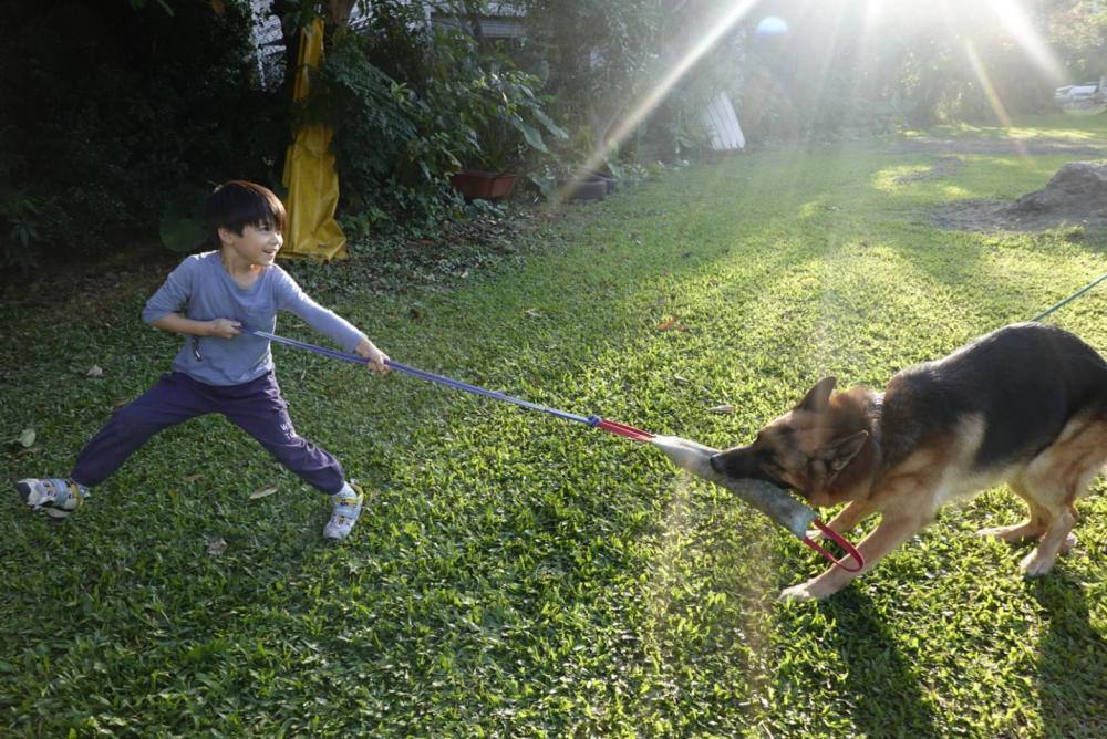 【親子體驗活動| 三峽鐶銶警犬學校-來體驗訓練警犬及搜救犬的過程,成為一個小小訓練師。 - 第17張圖
