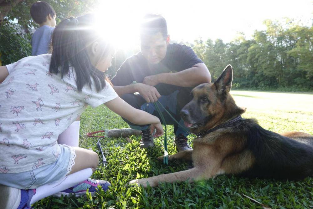 【親子體驗活動| 三峽鐶銶警犬學校-來體驗訓練警犬及搜救犬的過程,成為一個小小訓練師。 - 第15張圖