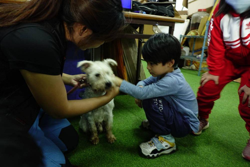 【親子體驗活動| 三峽鐶銶警犬學校-來體驗訓練警犬及搜救犬的過程,成為一個小小訓練師。 - 第6張圖