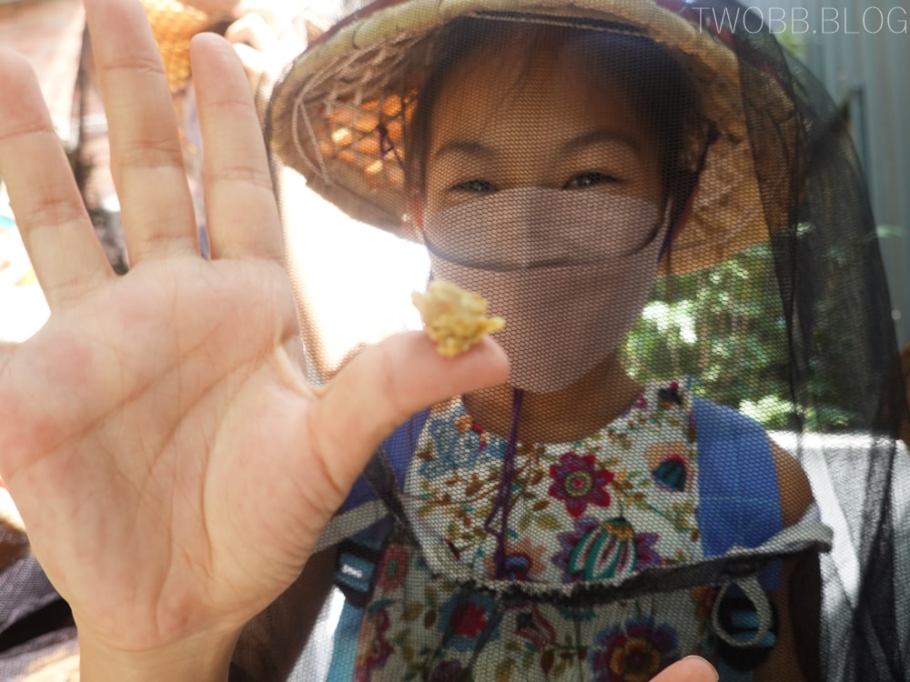 新竹景點| 愛蜂園-新竹秘境!集合啦!一起來當半日蜂農,體驗養蜂採蜜趣。 - 第21張圖 愛蜂園