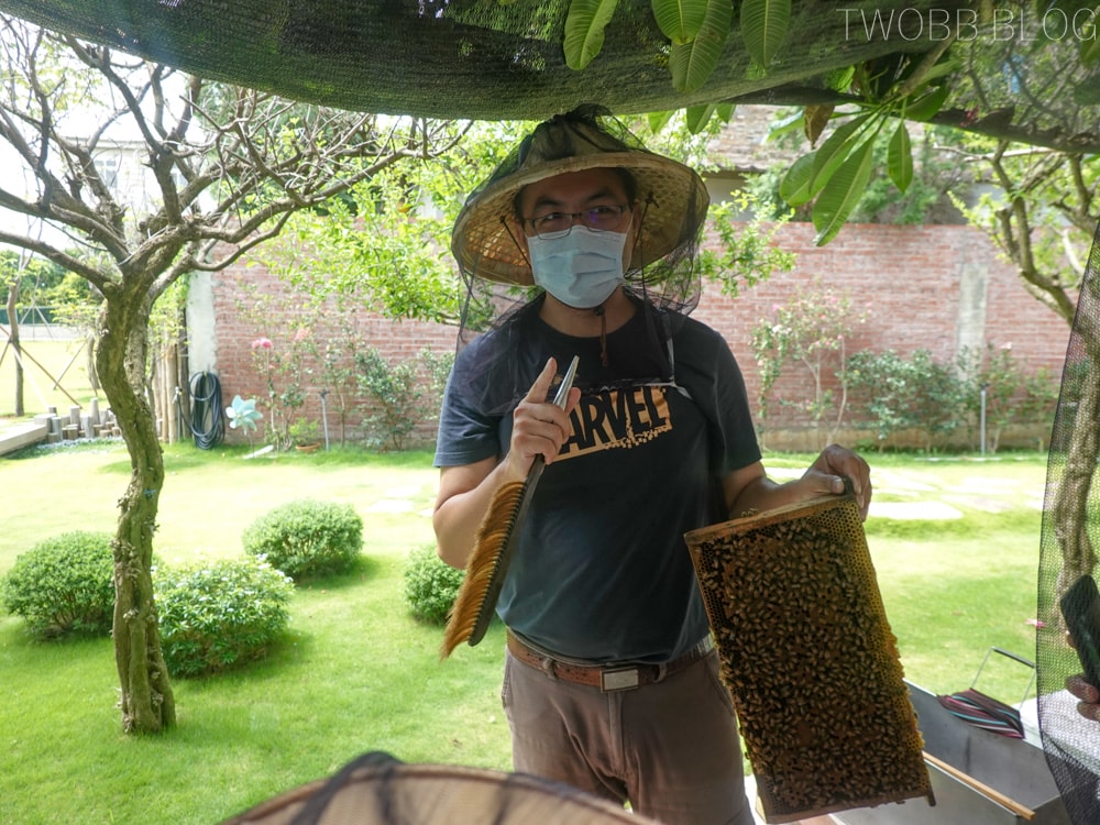新竹景點| 愛蜂園-新竹秘境!集合啦!一起來當半日蜂農,體驗養蜂採蜜趣。 - 第18張圖 愛蜂園