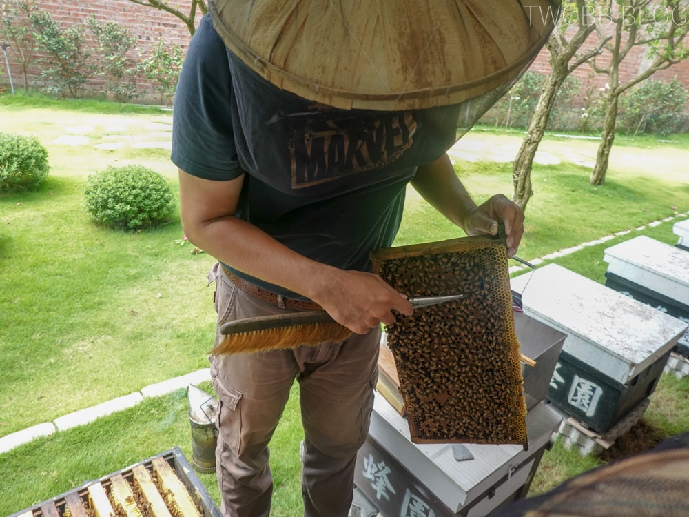 新竹景點| 愛蜂園-新竹秘境!集合啦!一起來當半日蜂農,體驗養蜂採蜜趣。 - 第23張圖 愛蜂園