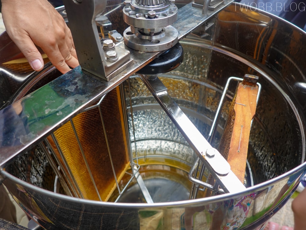 新竹景點| 愛蜂園-新竹秘境!集合啦!一起來當半日蜂農,體驗養蜂採蜜趣。 - 第35張圖