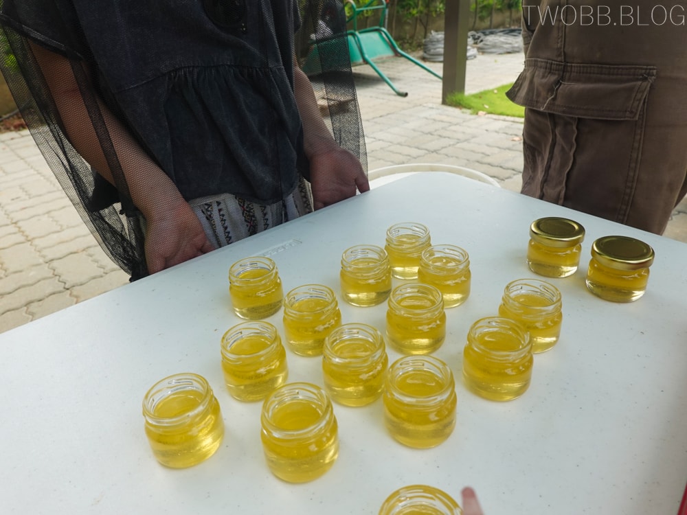 新竹景點| 愛蜂園-新竹秘境!集合啦!一起來當半日蜂農,體驗養蜂採蜜趣。 - 第38張圖 愛蜂園