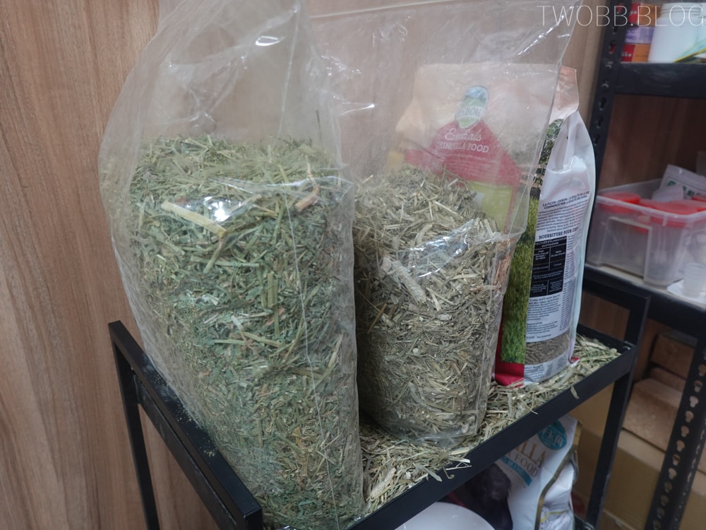 體驗分享| 龍貓森林》龍貓哪裡買?來一趟龍貓森林!專業解說特性及飼養方式,第一次養龍貓就上手。 - 第9張圖 龍貓森林
