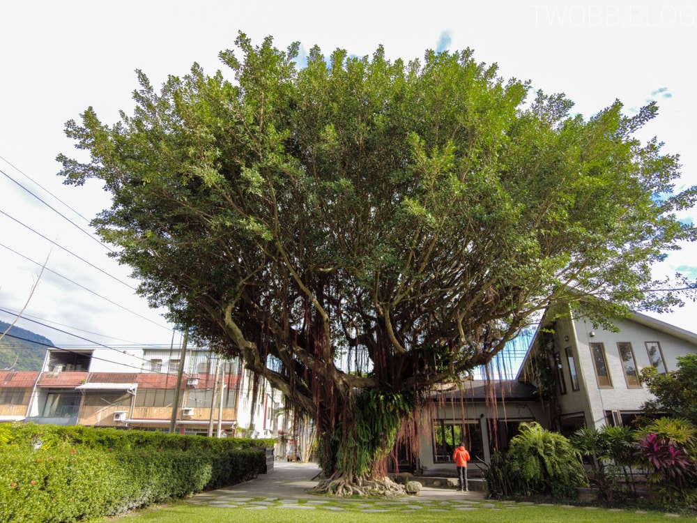 花蓮吉安住宿| 金澤居民宿》親子住宿!日式庭園造景,大榕樹下草皮嬉戲,花草簇擁池塘讓人心曠神怡,遠離塵囂,自行車綠色隧道民宿推薦! - 第44張圖