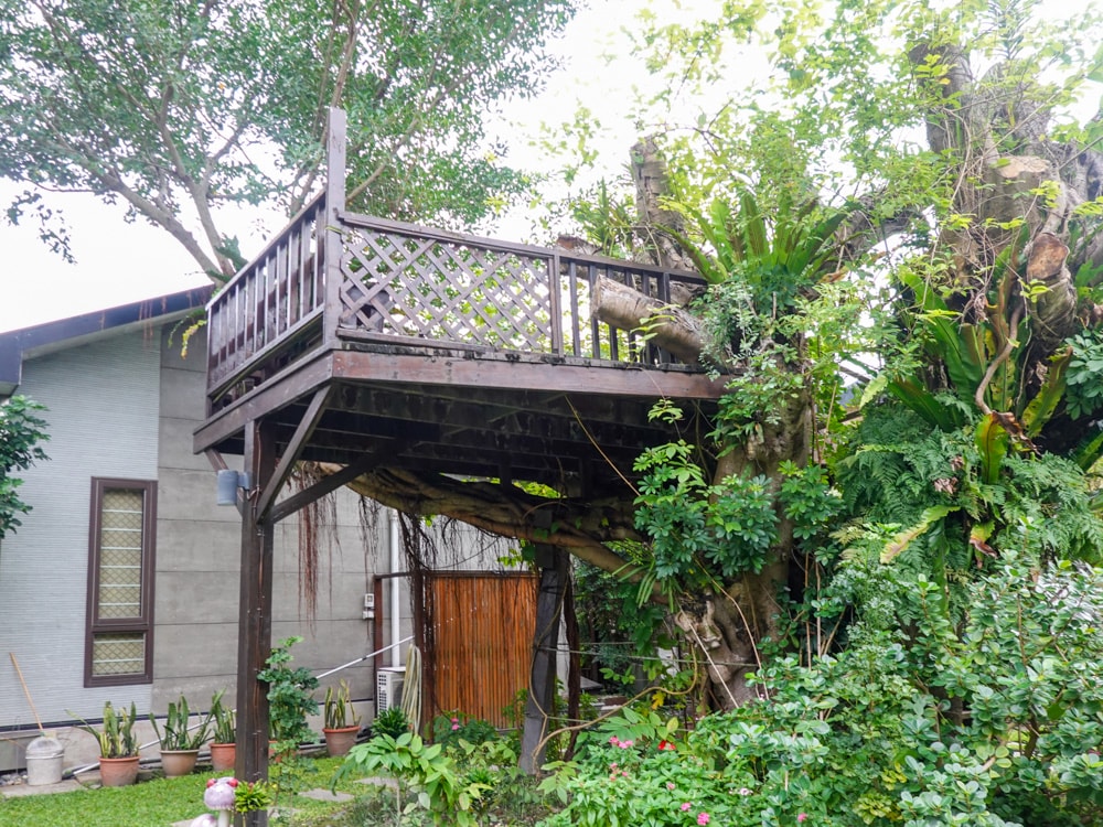 花蓮吉安住宿| 金澤居民宿》親子住宿!日式庭園造景,大榕樹下草皮嬉戲,花草簇擁池塘讓人心曠神怡,遠離塵囂,自行車綠色隧道民宿推薦! - 第45張圖