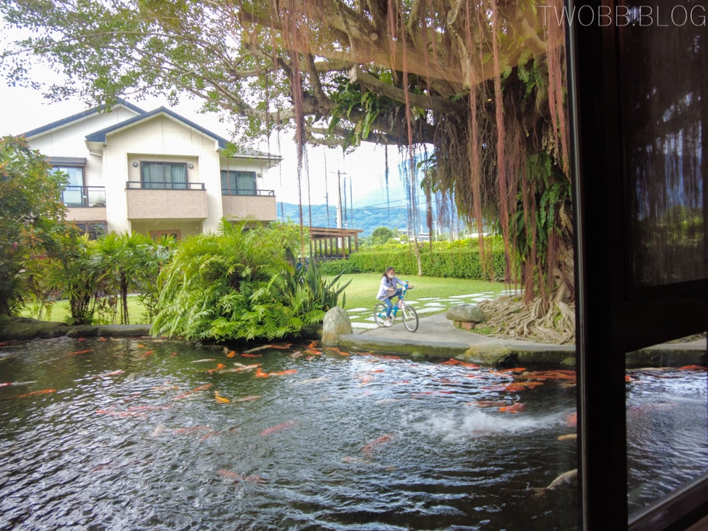 花蓮吉安住宿| 金澤居民宿》親子住宿!日式庭園造景,大榕樹下草皮嬉戲,花草簇擁池塘讓人心曠神怡,遠離塵囂,自行車綠色隧道民宿推薦! - 第67張圖