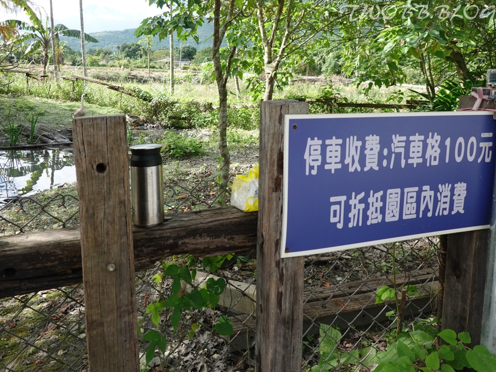 (已停業)花蓮景點| Mr. Sam山姆先生咖啡館》塵囂中的精靈國度,觀賞超美落雨松及真實版的霍爾移動城堡。 - 第11張圖