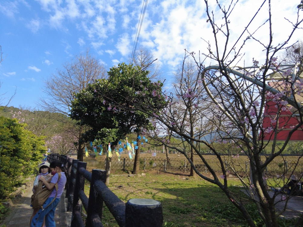 新北景點|小馬貝菈-Ezi森活》免門票!三芝親子寵物友善餐廳!陽光下的草坪,沙坑!還可餵食小馬,順遊三生步道,賞櫻與農場秘境一日遊。 - 第80張圖