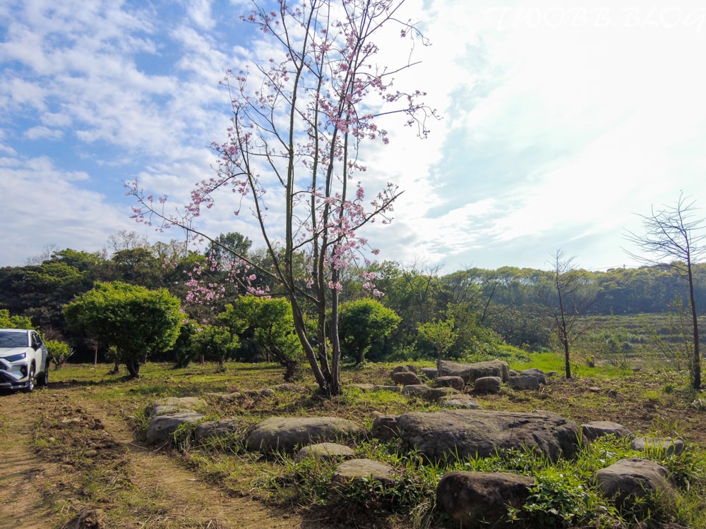 新北景點|小馬貝菈-Ezi森活》免門票!三芝親子寵物友善餐廳!陽光下的草坪,沙坑!還可餵食小馬,順遊三生步道,賞櫻與農場秘境一日遊。 - 第13張圖