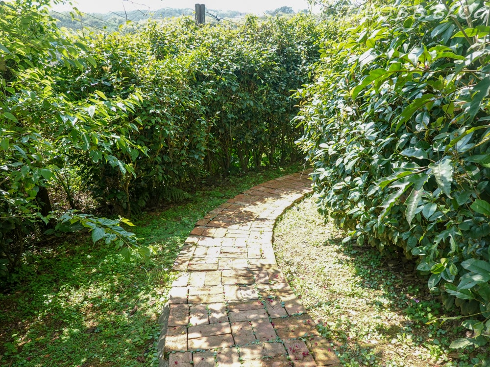 新北景點|小馬貝菈-Ezi森活》免門票!三芝親子寵物友善餐廳!陽光下的草坪,沙坑!還可餵食小馬,順遊三生步道,賞櫻與農場秘境一日遊。 - 第75張圖
