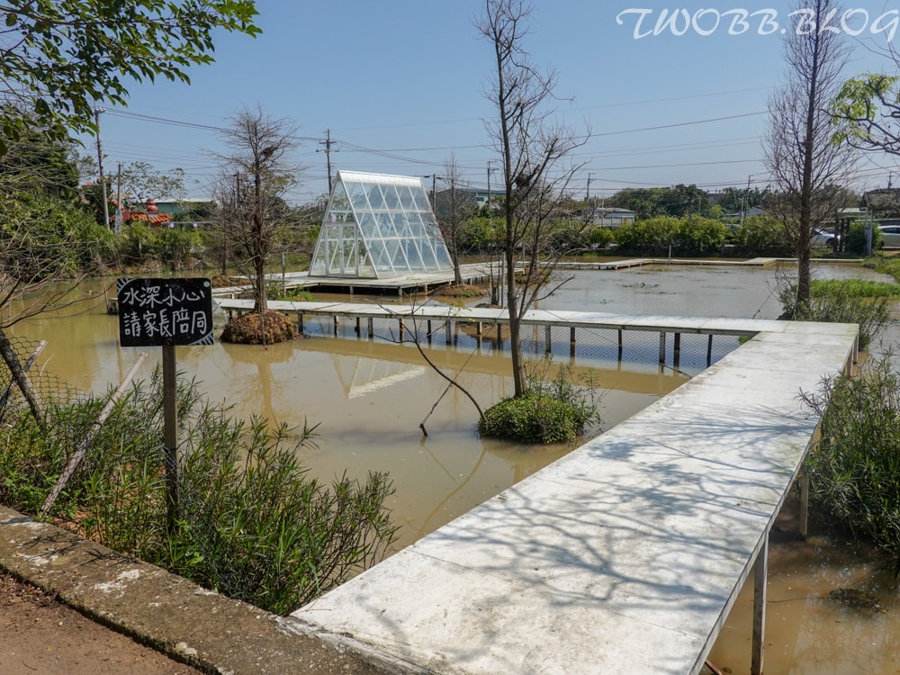 桃園景點|青林農場》假日踏青推薦!大片草地遛小孩,必做超美的麥桿菊乾燥花,還有小動物及控窯體驗,來花田當一天網美。 - 第73張圖