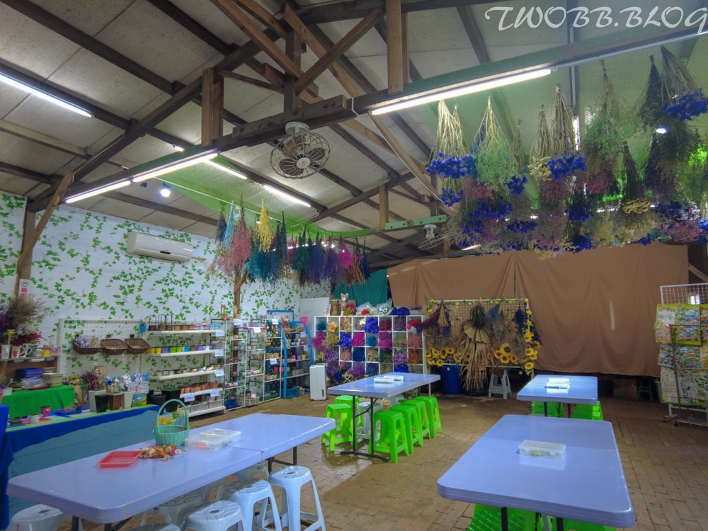 桃園景點|青林農場》假日踏青推薦!大片草地遛小孩,必做超美的麥桿菊乾燥花,還有小動物及控窯體驗,來花田當一天網美。 - 第64張圖