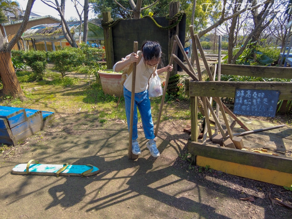 桃園景點|青林農場》假日踏青推薦!大片草地遛小孩,必做超美的麥桿菊乾燥花,還有小動物及控窯體驗,來花田當一天網美。 - 第15張圖
