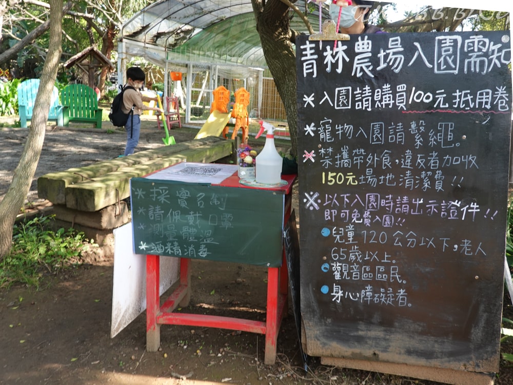 桃園景點|青林農場》假日踏青推薦!大片草地遛小孩,必做超美的麥桿菊乾燥花,還有小動物及控窯體驗,來花田當一天網美。 - 第9張圖