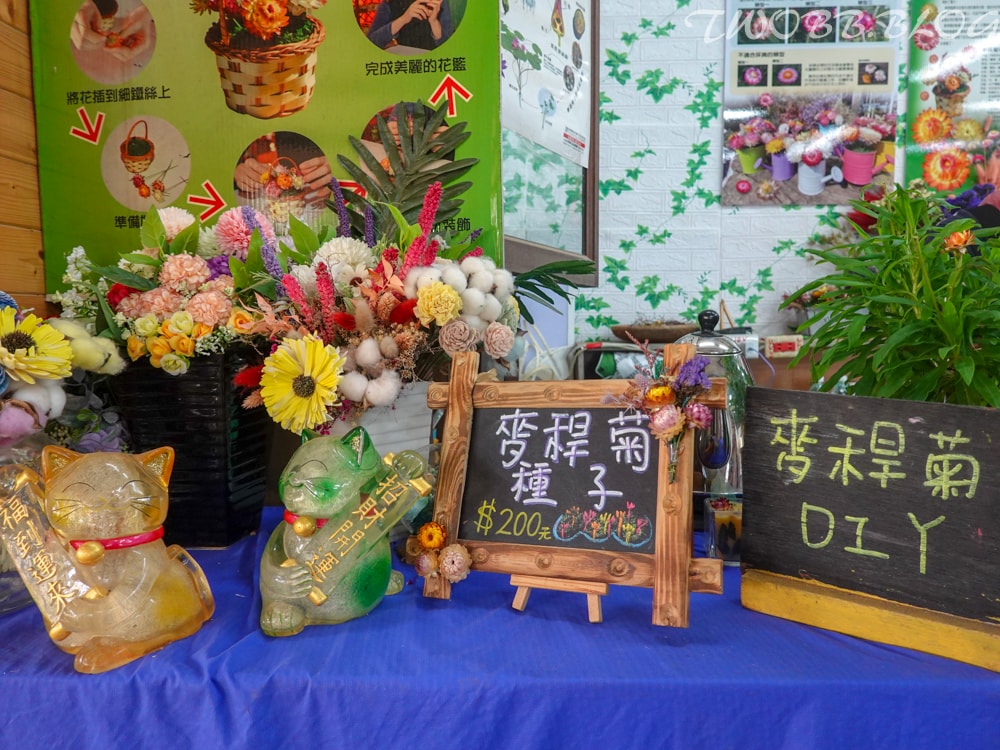 桃園景點|青林農場》假日踏青推薦!大片草地遛小孩,必做超美的麥桿菊乾燥花,還有小動物及控窯體驗,來花田當一天網美。 - 第47張圖