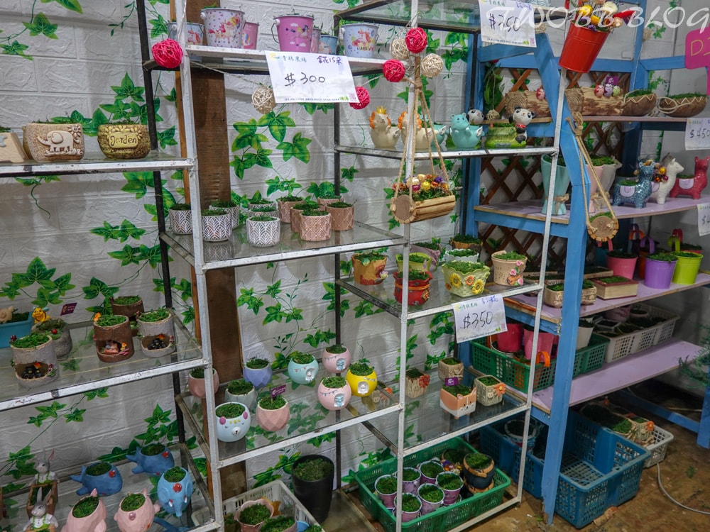 桃園景點|青林農場》假日踏青推薦!大片草地遛小孩,必做超美的麥桿菊乾燥花,還有小動物及控窯體驗,來花田當一天網美。 - 第49張圖