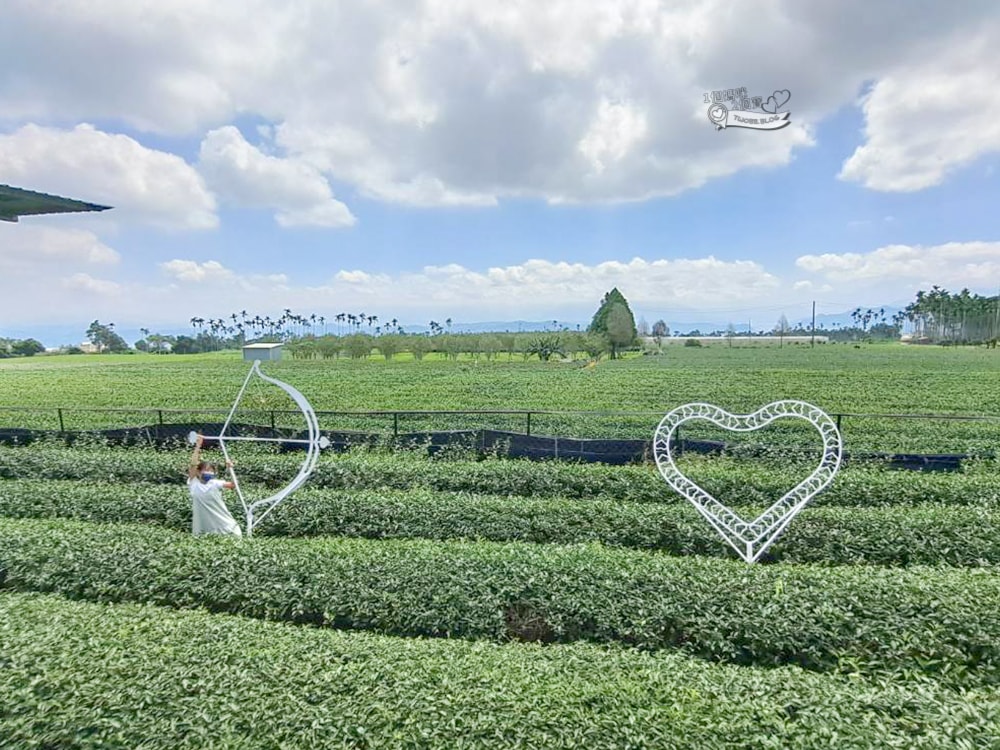 南投景點|茶二指故事館》造訪茶田、好拍造景及手做香包,沙坑,還有吸睛彩色水管屋。 - 第14張圖