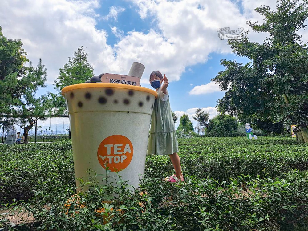 南投景點|茶二指故事館》造訪茶田、好拍造景及手做香包,沙坑,還有吸睛彩色水管屋。 - 第16張圖
