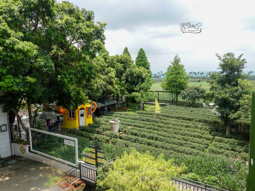 南投景點|茶二指故事館》造訪茶田、好拍造景及手做香包,沙坑,還有吸睛彩色水管屋。 - 第24張圖